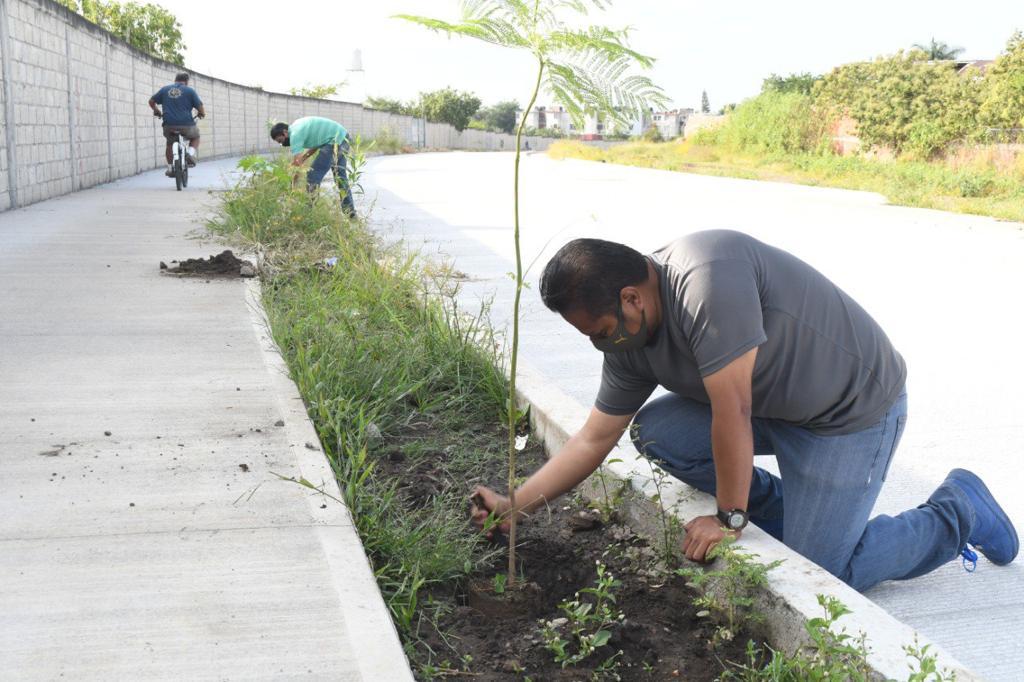 Continúa campaña de forestación en Cuautla