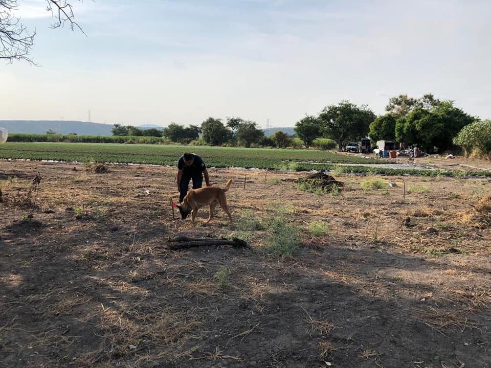 Localizan fosas clandestinas en Cuautla