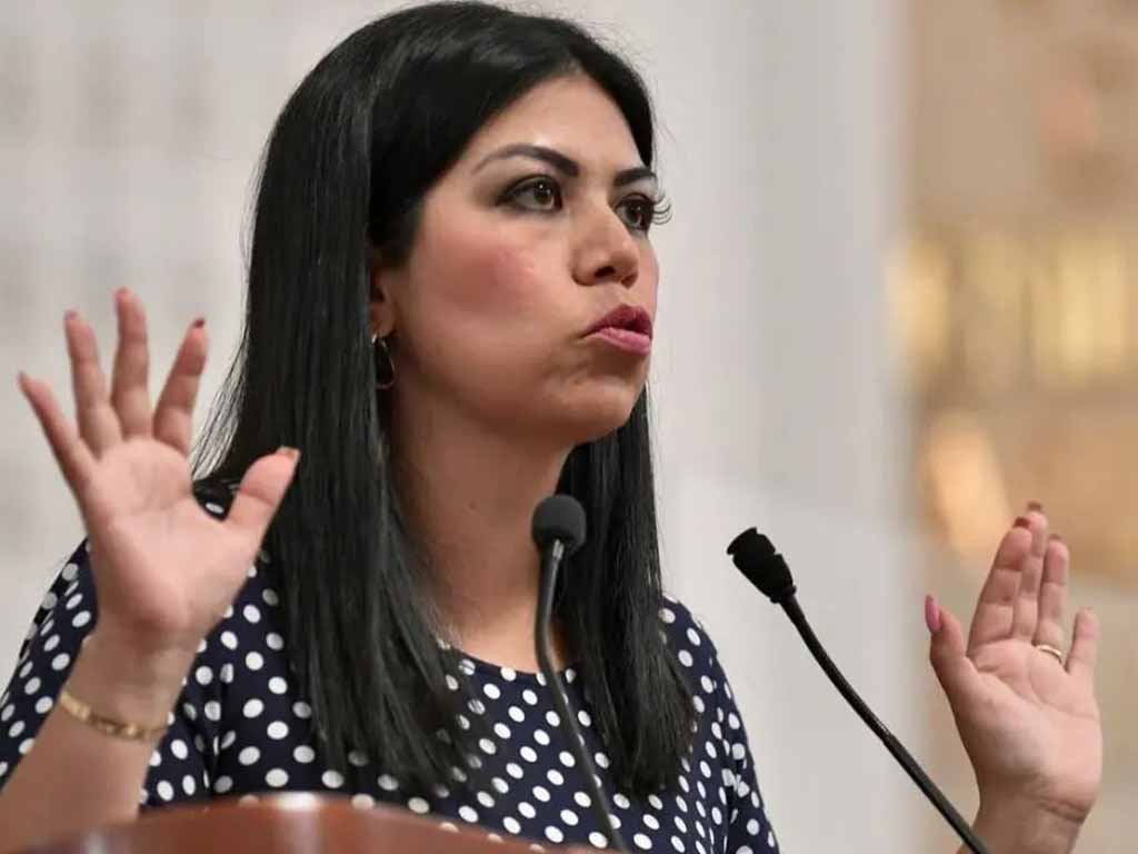 “Me quieren meter a la cárcel por un meme” acusa diputada panista a Morena