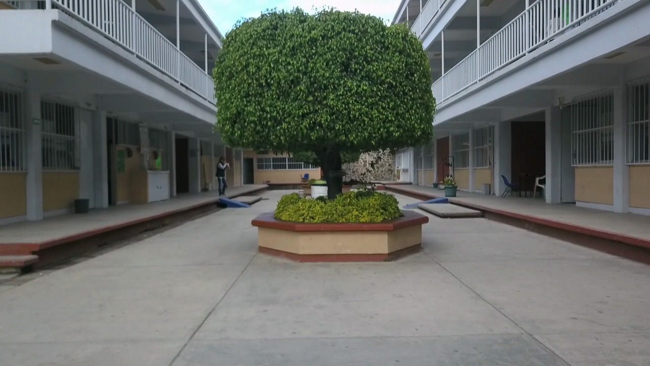 Habrá suspensión de clases del 12 al 15 de noviembre