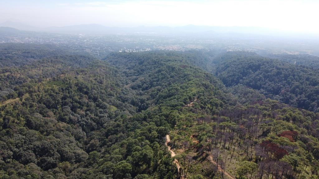 Piden evitar el uso de PIROTECNIA para evitar incendios