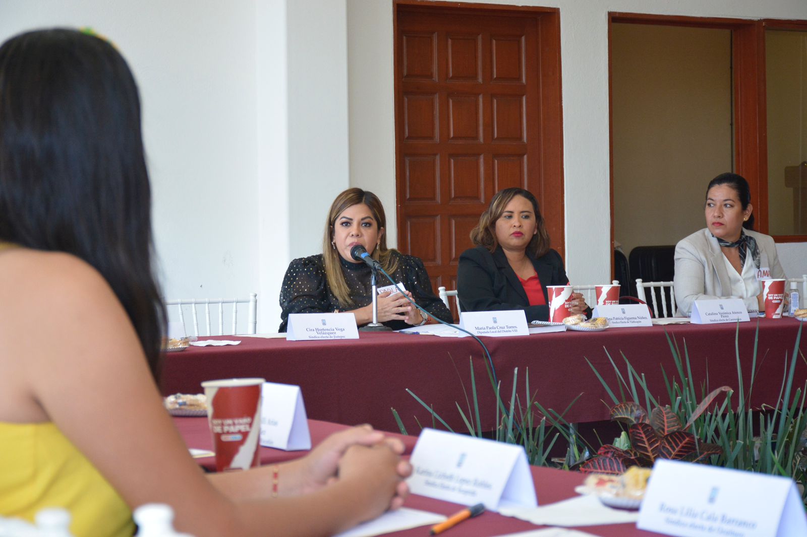 Detectan casos de violencia política a Síndicas municipales de Morelos