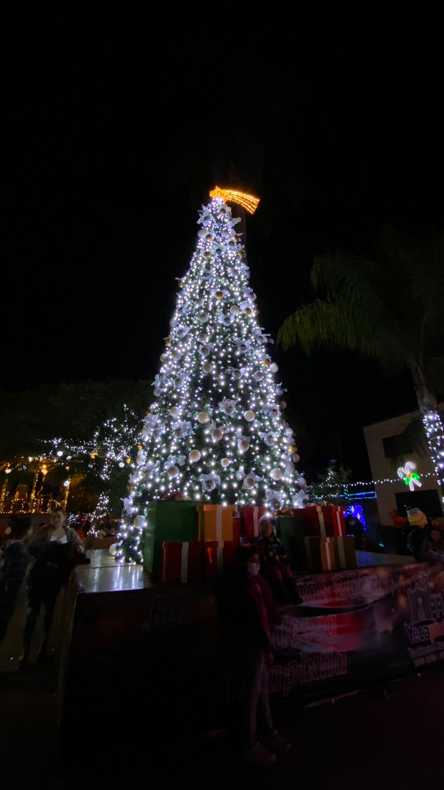 Encienden árbol navideño y figuras decorativas en Yecapixtla