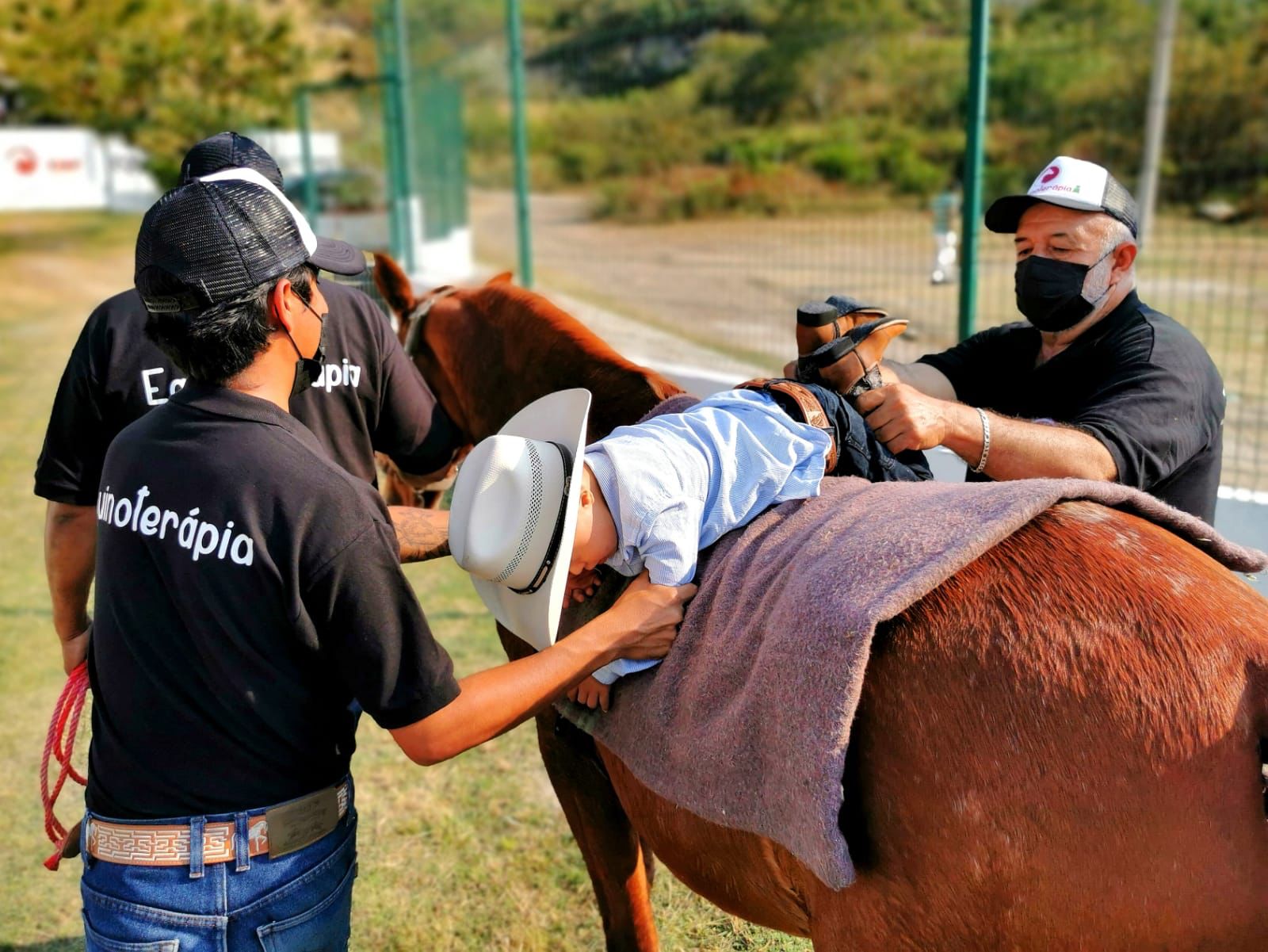 Reactivan sesiones de equinoterapia en Jiutepec