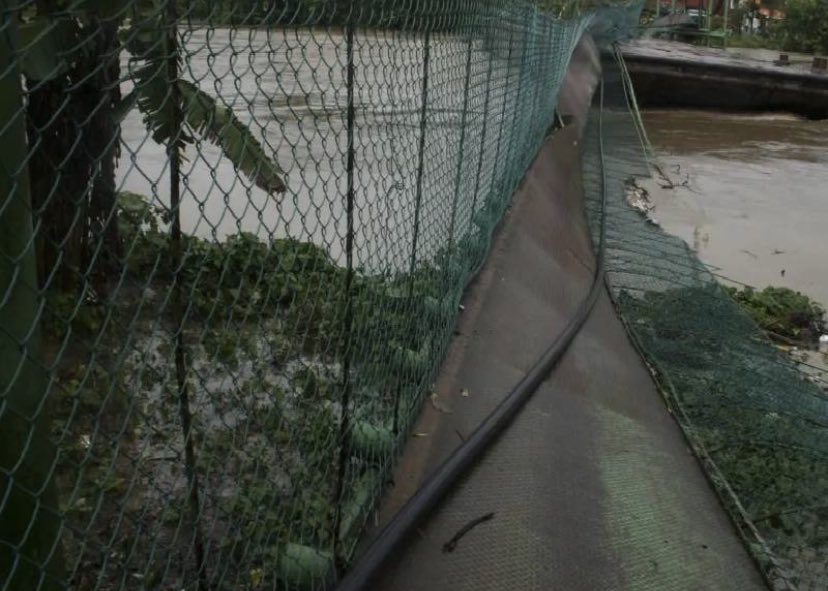 Desplome de puente colgante dejó 23 heridos en Oaxaca.