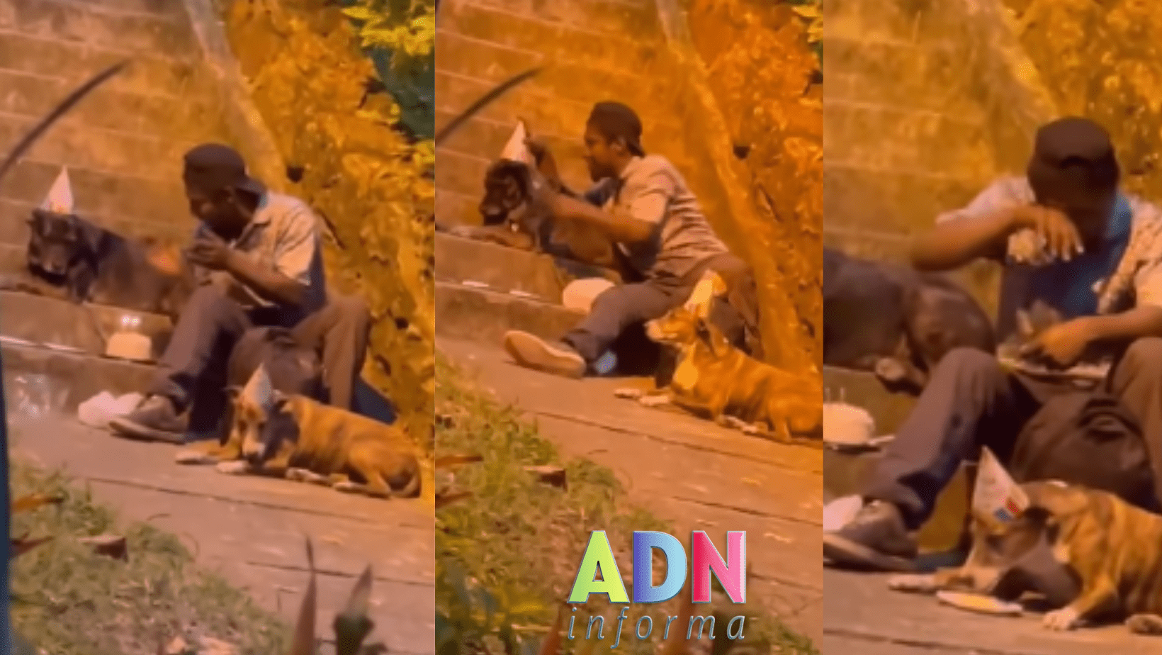 [VIDEO] Hombre sin hogar festeja cumpleaños a sus perritos y conmueve las redes sociales