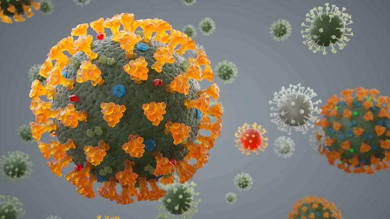 NeoCoV, el nuevo virus que amenaza a los humanos