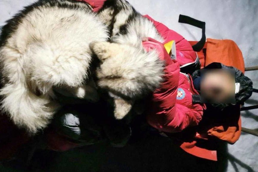 Perrito salvó a su dueño de morir congelado en Croacia