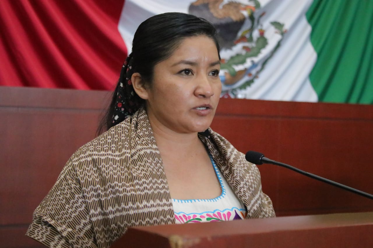 Exhorta diputada a difundir Ley General de Cultura y Derechos Culturales