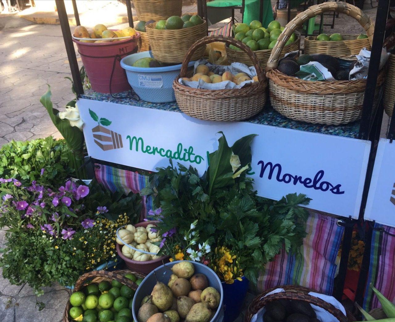 Habrá Mercado Verde en el Parque Chapultepec