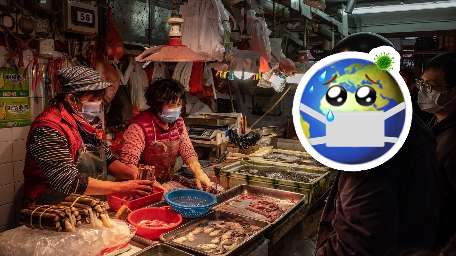Estudios revelan que COVID-19 comenzó en mercado de mariscos de Wuhan, China