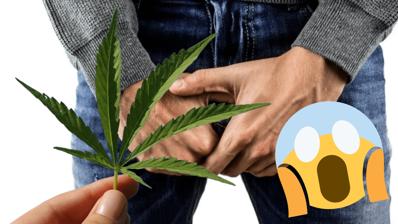 Hombre se automutiló el p3n3 tras alucinación al fumar marihuana