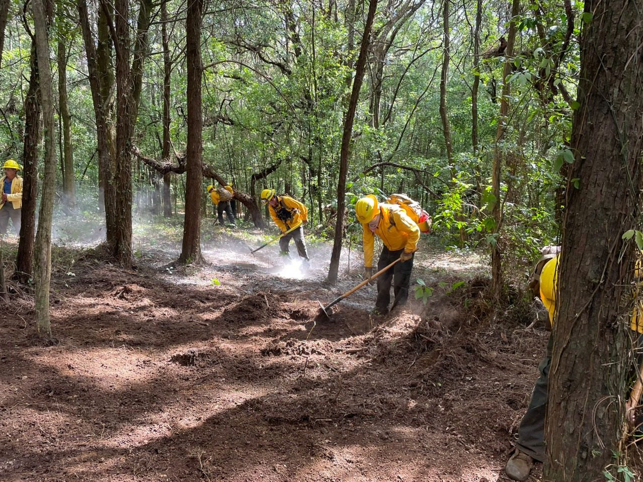 Rehabilitan brechas contra incendios en norte de Cuernavaca