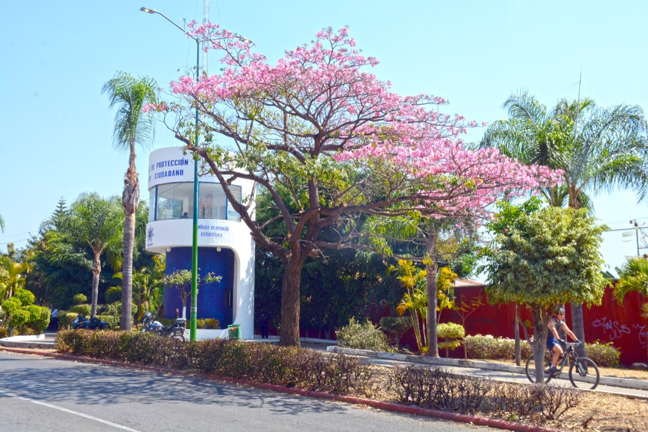 Habilitan módulo de seguridad en Ciclopista de Cuernavaca