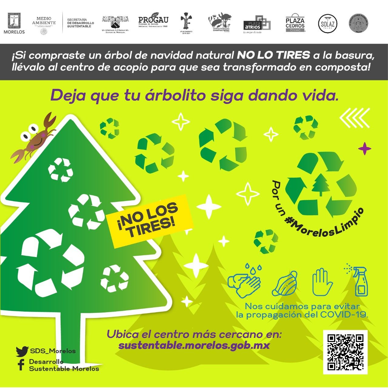 Aún puedes reciclar tu árbol de Navidad en centros de acopio en Morelos
