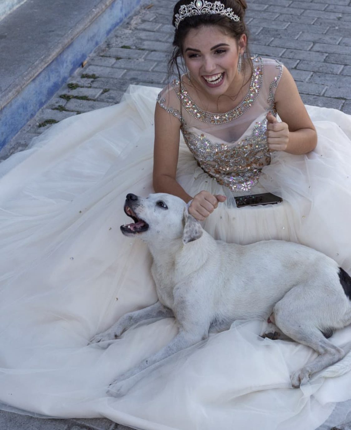 Perrito callejero se coló en sesión de fotos de una quinceañera