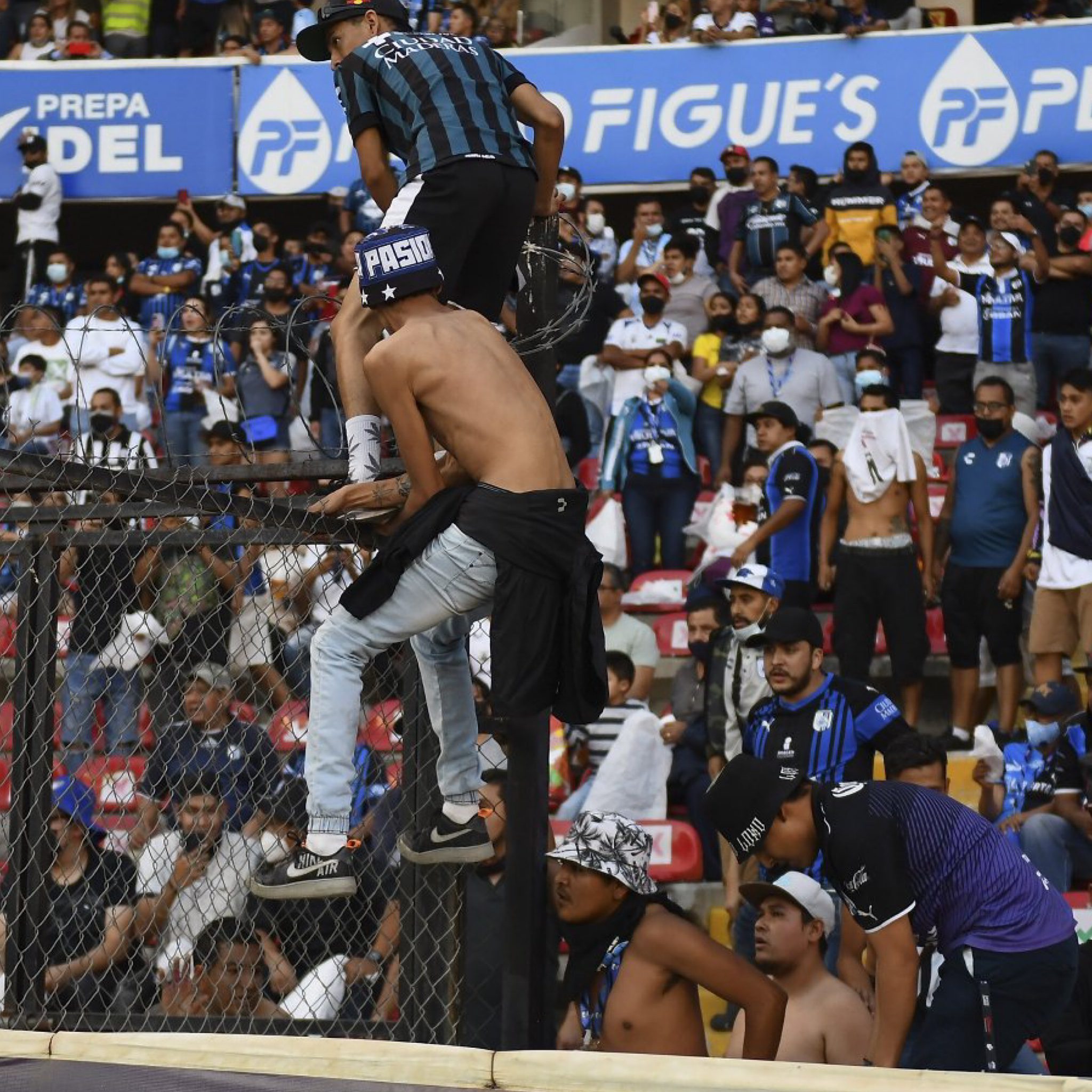 Conoce a los presuntos agresores del Querétaro vs Atlas