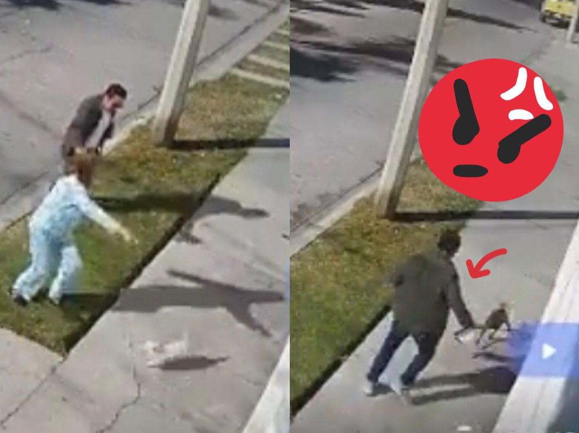[VIDEO] Hombre maltrata salvajemente al perrito de su vecina