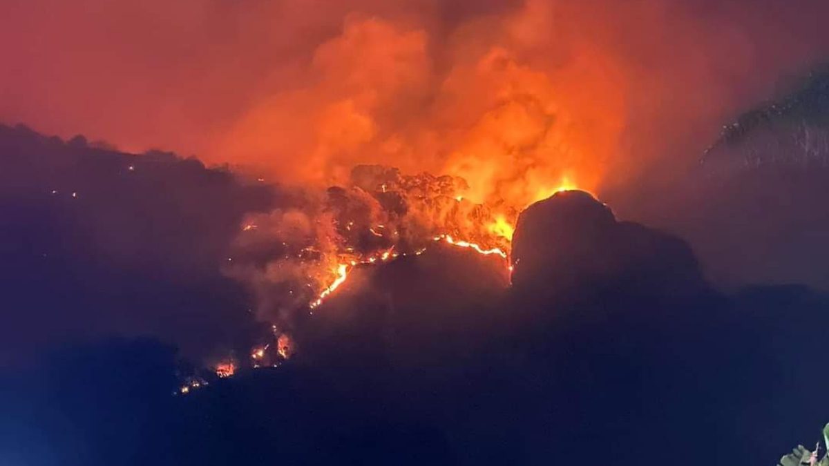 Proponen hasta 9 años de prisión a quien provoque incendios forestales en Morelos