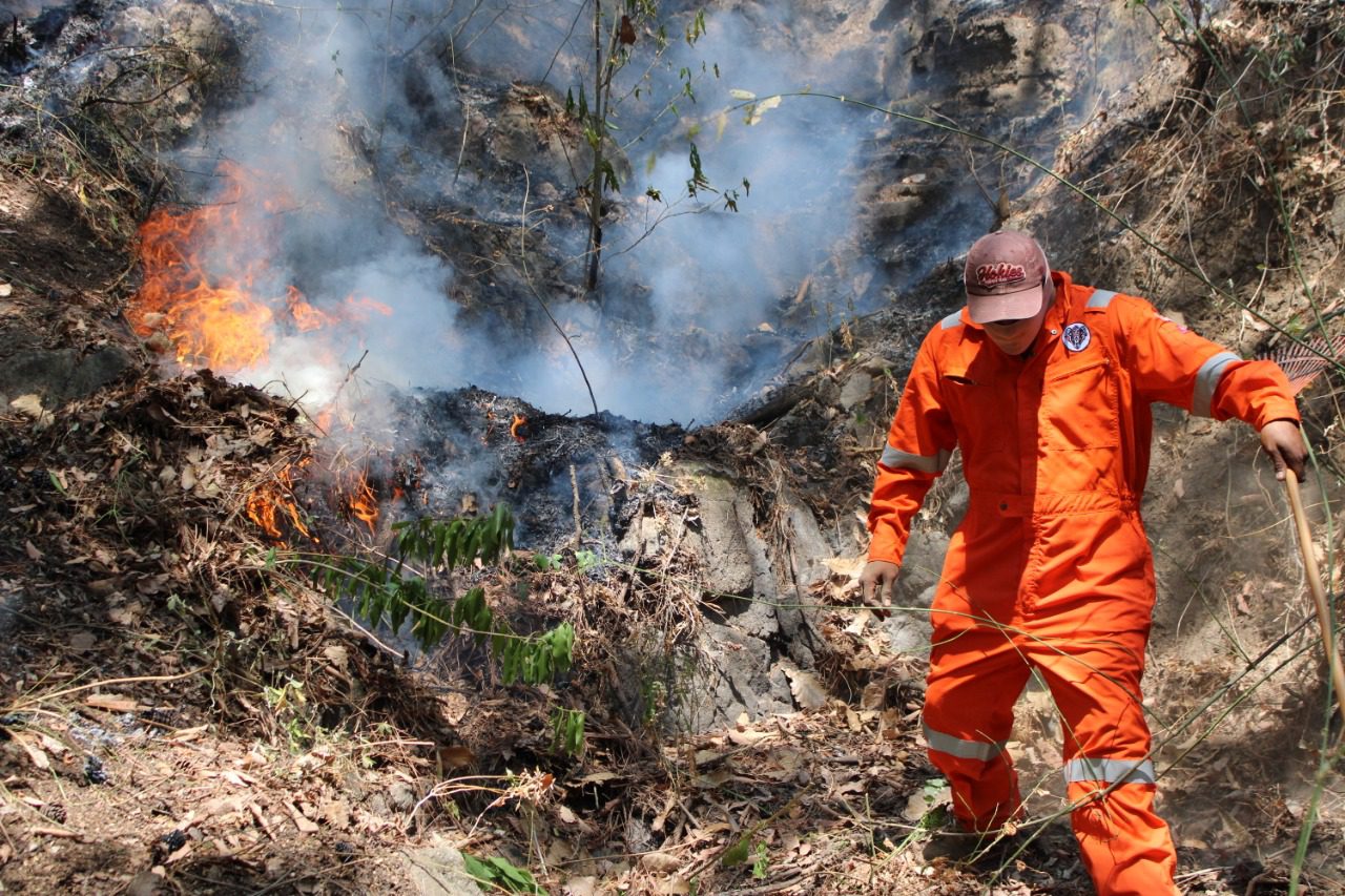 Presentan denuncia ante la FGR por incendio forestal en Tepoztlán