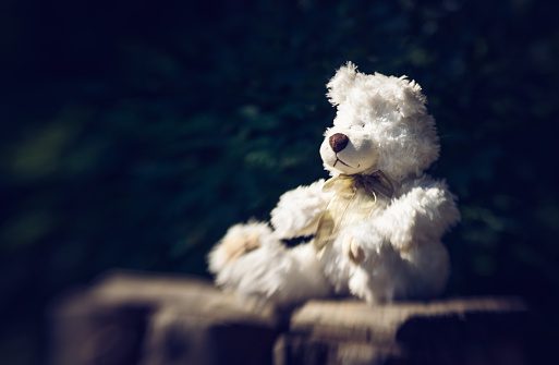 Oso