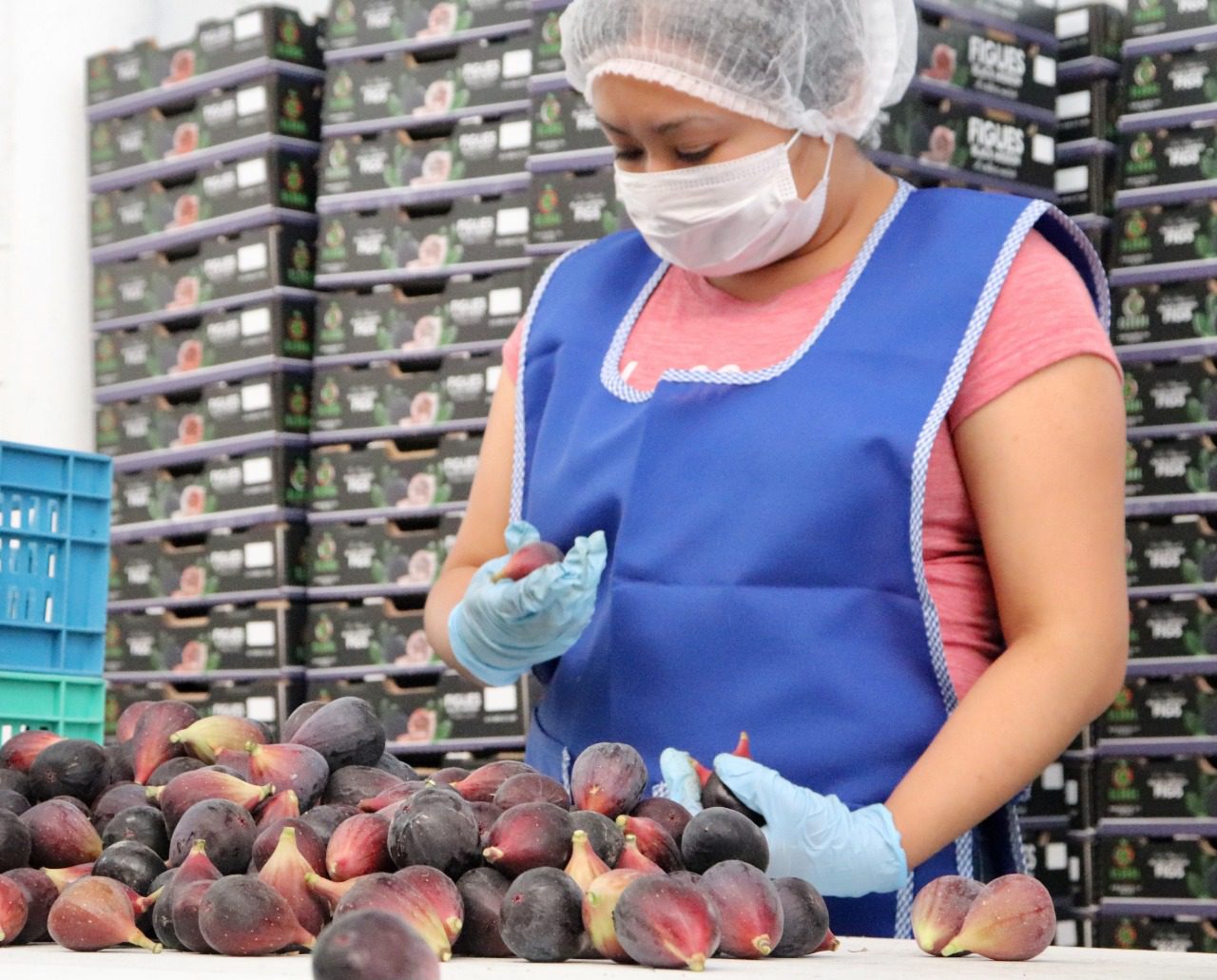 Anuncian reapertura económica al 100% con semáforo verde en Morelos