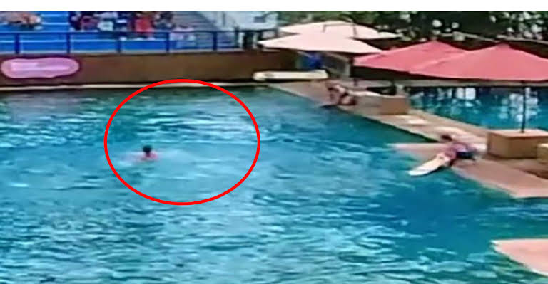 Delfín ataca a entrenadora durante un espectáculo acuático en Miami