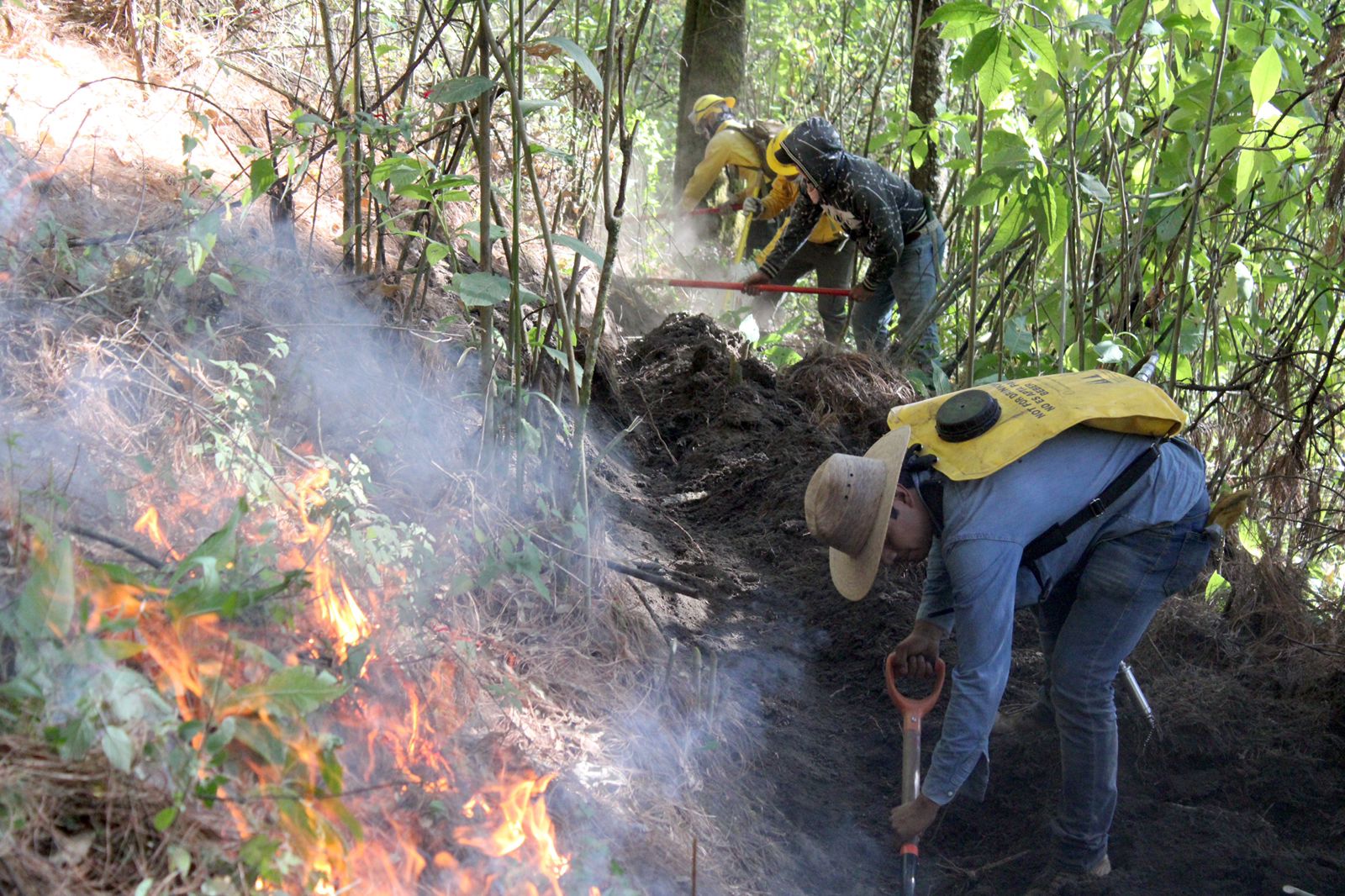 Piden extremar cuidados para evitar incendios forestales esta Semana Santa