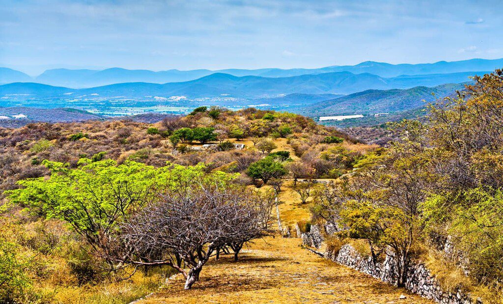 Buscan ampliar territorio de la Reserva de la Biosfera Sierra de Huautla