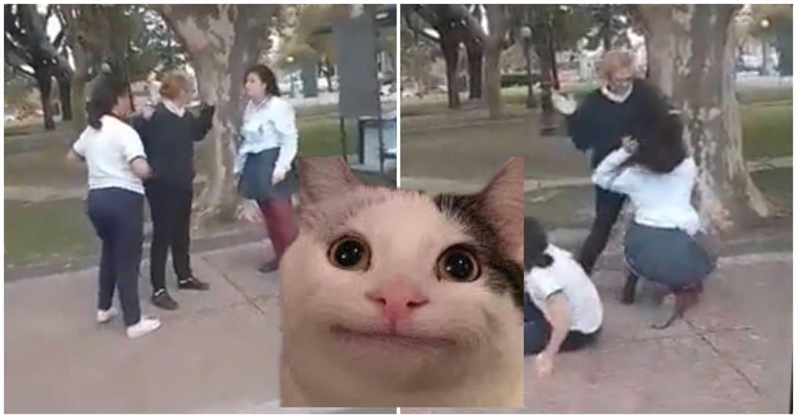 [VIDEO] ¡A cachetadas! mujer pone fin a pelea callejera en Perú