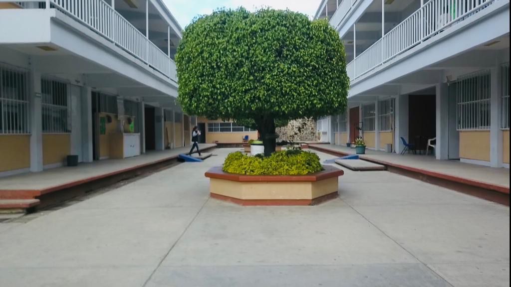 Mañana NO HAY CLASES en educación básica