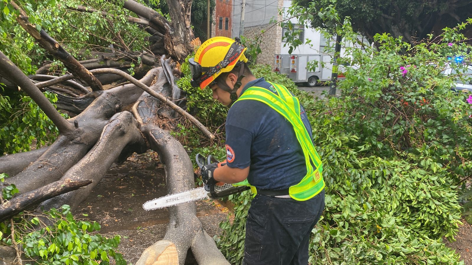 Viento y lluvia del domingo dejaron afectaciones en Morelos