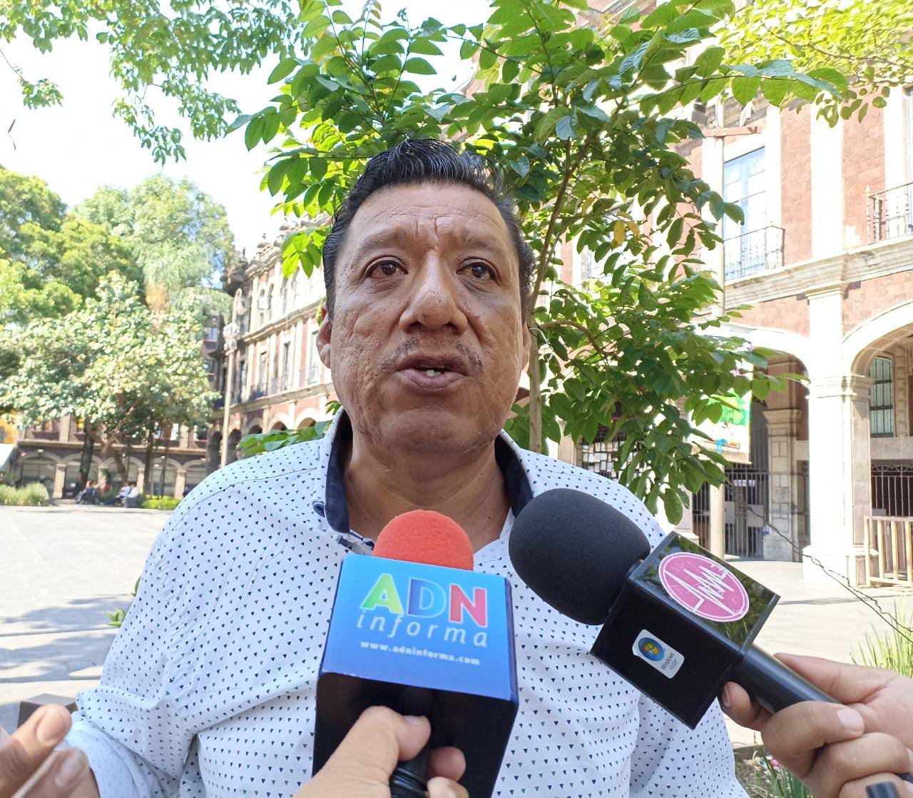 Productores de amaranto piden que cese hostigamiento de inspectores en Morelos