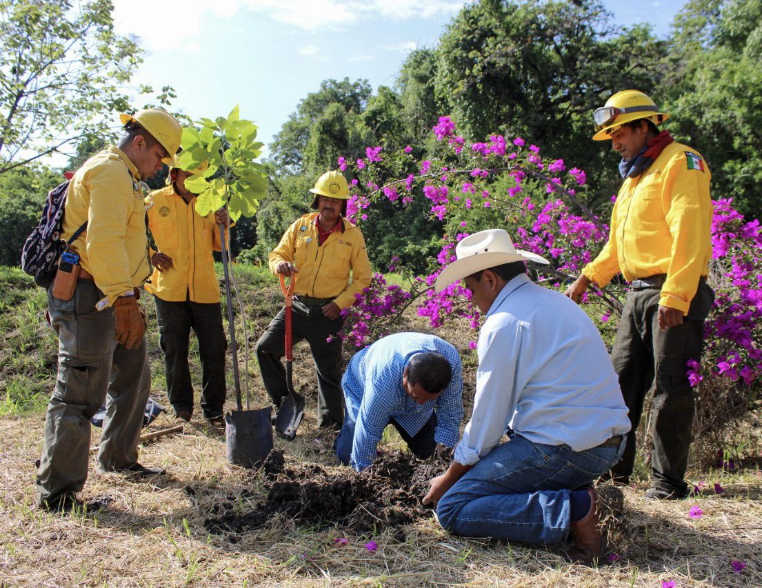 Más de cuatro mil árboles fueron sembrados en el Parque Estatal “El Texcal”