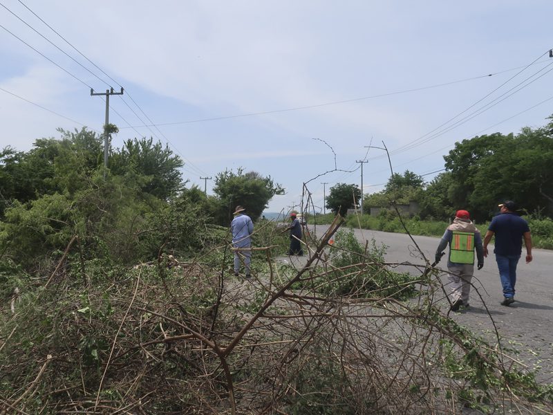 Realizan trabajos de mantenimiento en tramo carretero Atlacholoaya – Zacatepec  
