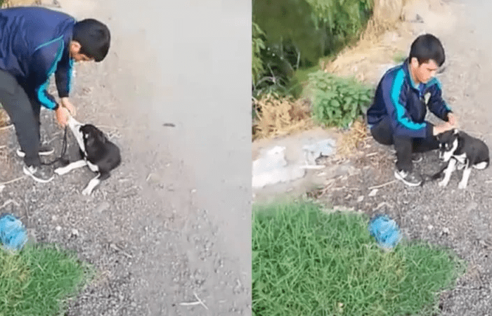 [Video] Hombre avienta a su perro a canal de aguas negras en Edomex