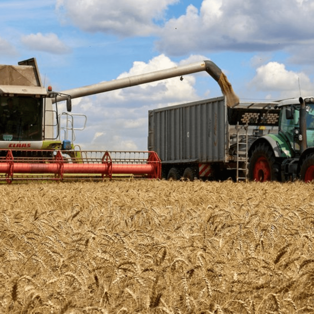 Firman acuerdo Rusia y Ucrania para reabrir la exportación de grano