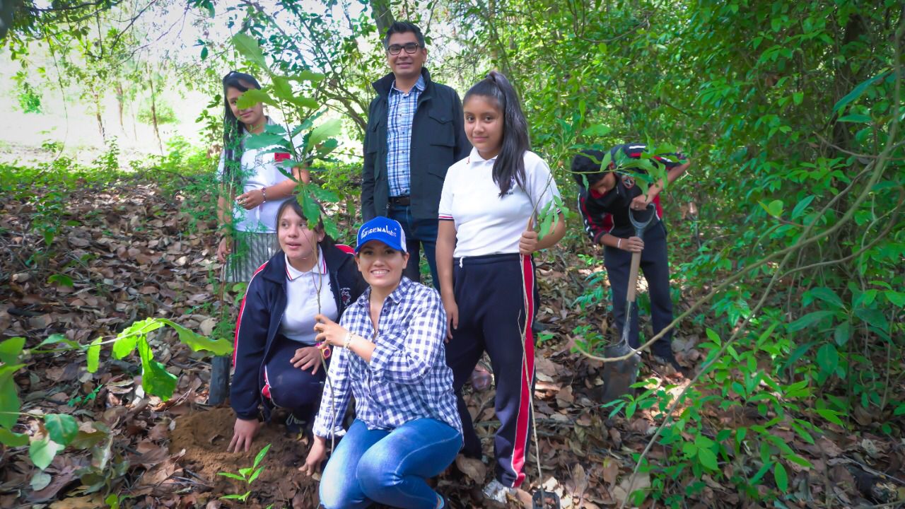 Diputados y ciudadanos reforestan áreas en los municipios indígenas de Hueyapan y Axochiapan