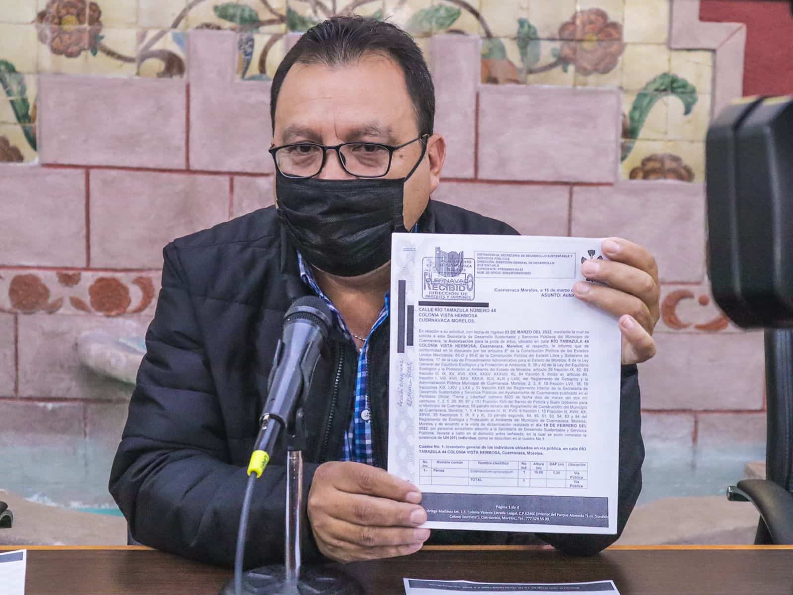 Sancionarán a quien resulte responsable por tala ilegal de árbol en Vista Hermosa