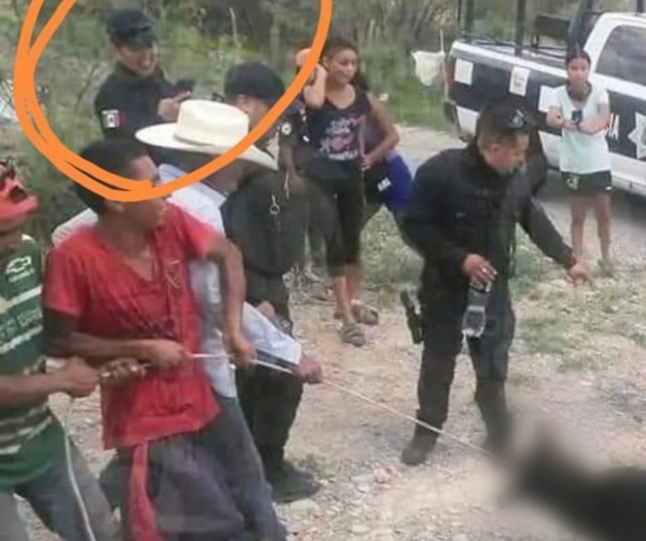 Torturan y causan mu3erte de osito negro en Coahuila