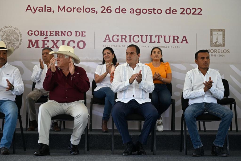 Morelos producirá TODO el año cebolla, higo, huaje, limón, naranja y pitahaya.