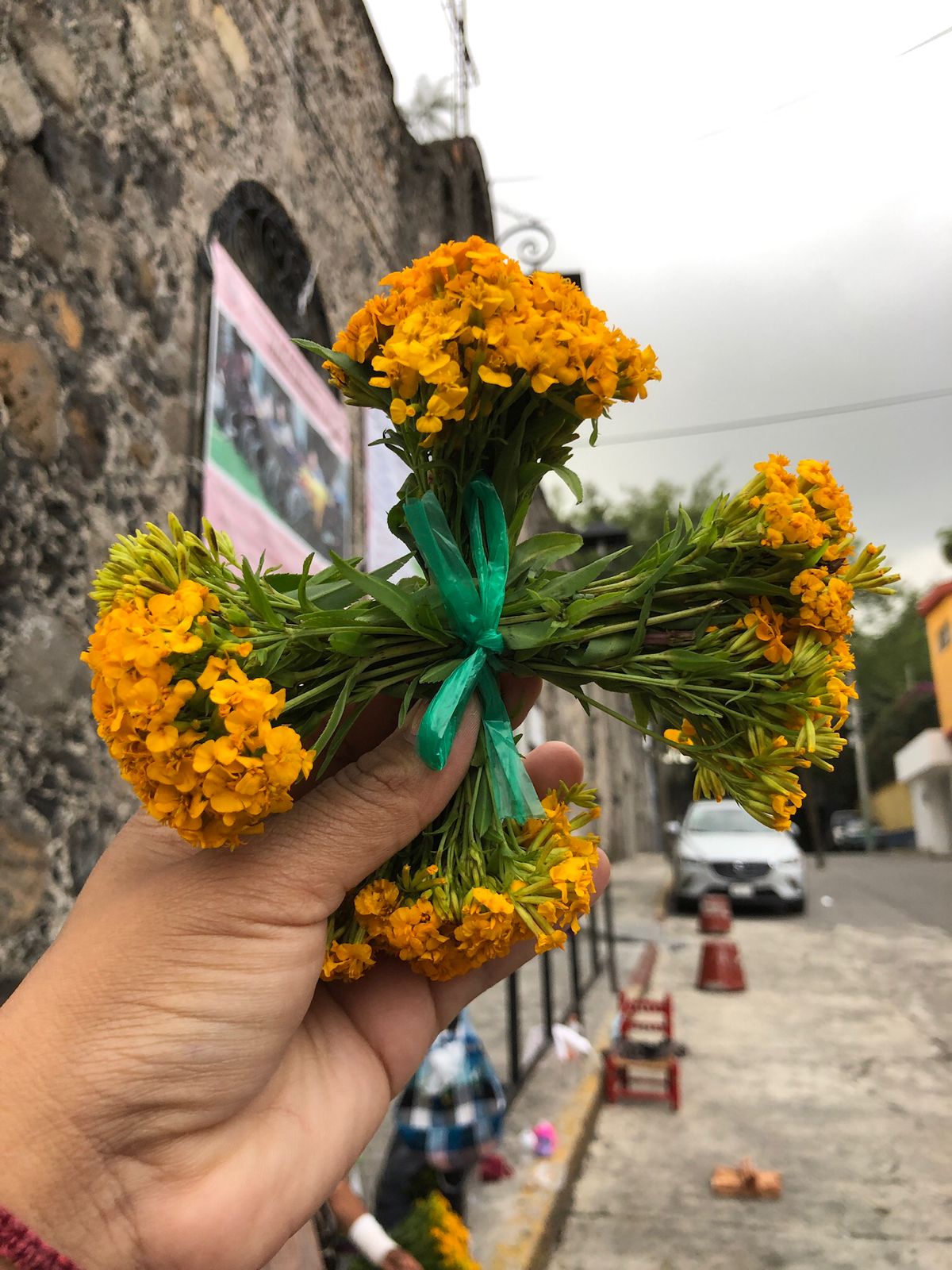 Filman documental sobre la Flor de Pericón en Tepoztlán