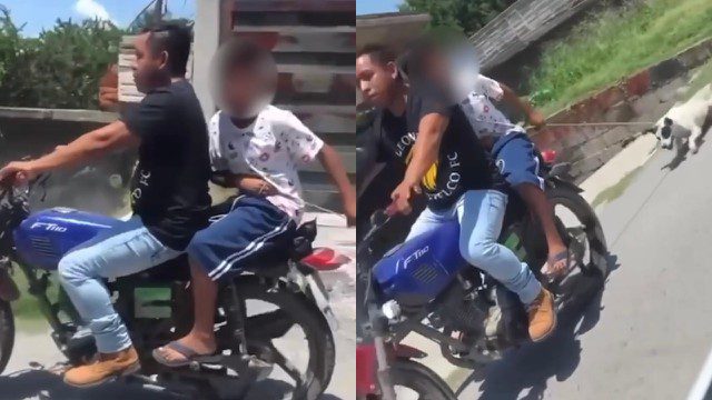 Denuncian a quienes amarraron a perrita a una motocicleta en Morelos