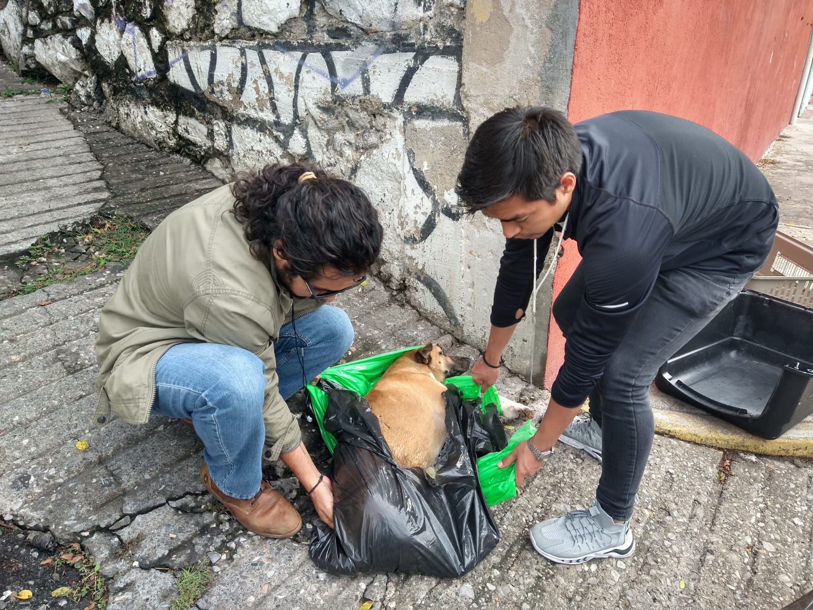 Atiende Protección Animal de Cuernavaca a perro abandonado