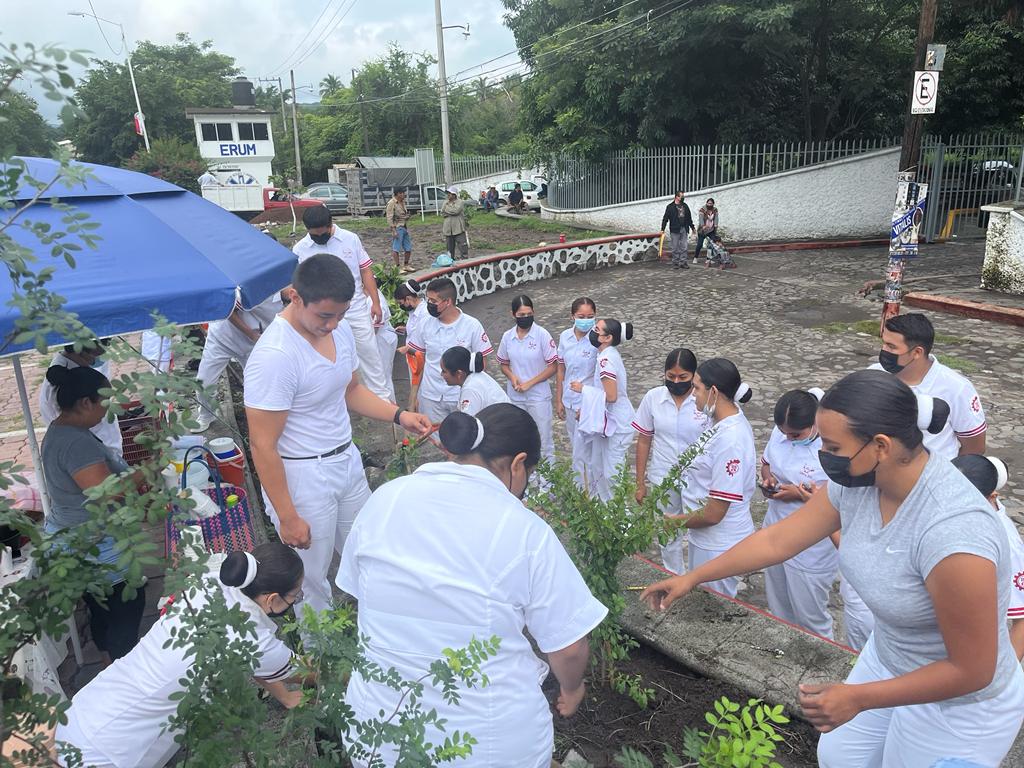 ¿Qué son los jardines para polinizadores? en Morelos hay 25
