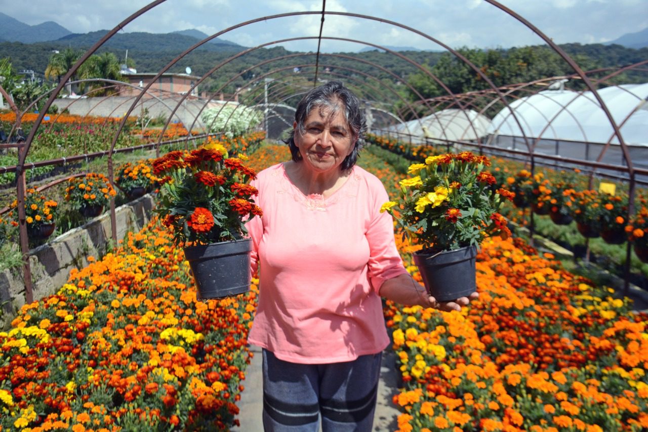 Invitan a consumir flor de cempasúchil de Cuernavaca