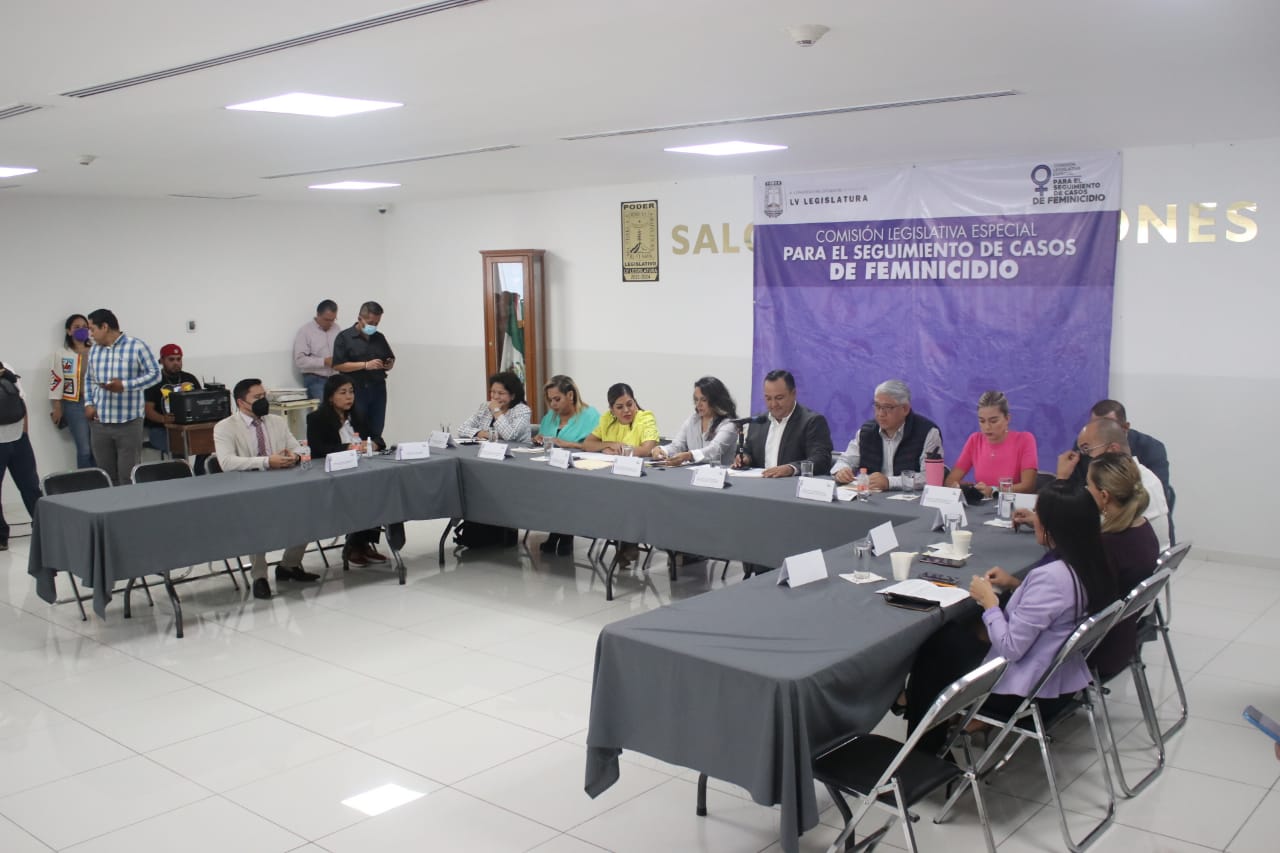 Intergan a expertos en la comisión especial de feminicidios