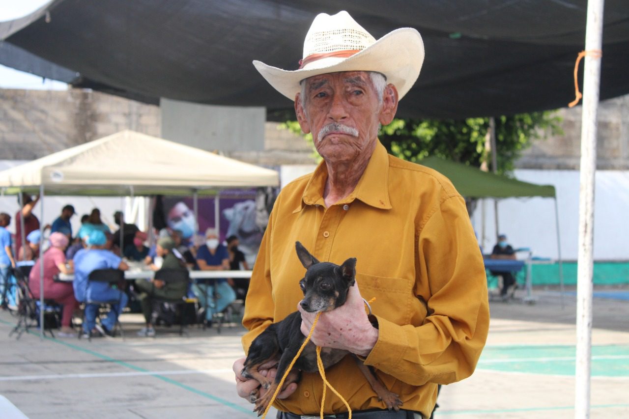 Continuarán esterilizaciones gratuitas en Morelos para el 2023