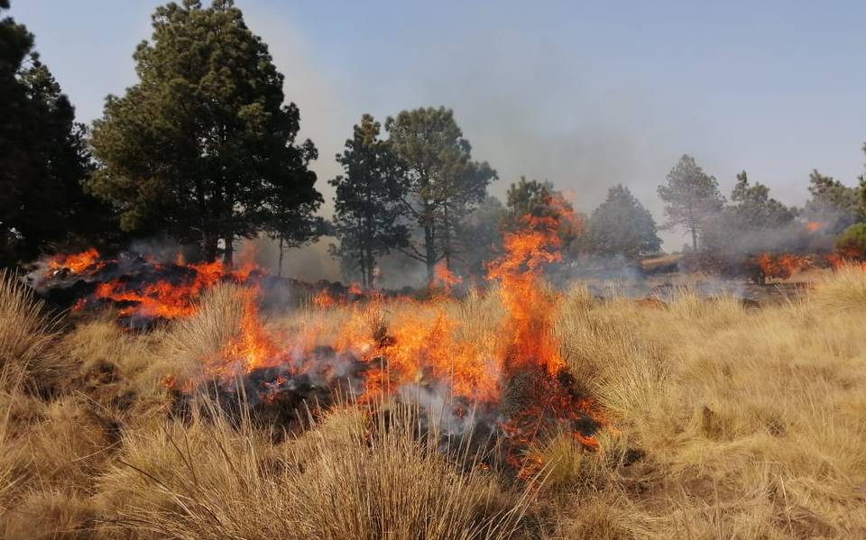 Incrementan incendios en Yautepec por la quema agrícola