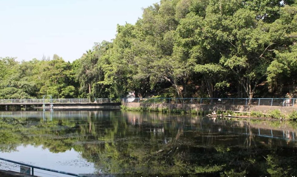 Van por autosuficiencia energética en Parque de Chapultepec 